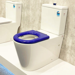 Lumi Ambulant Back to Wall Rimless Toilet Suite – Gloss White